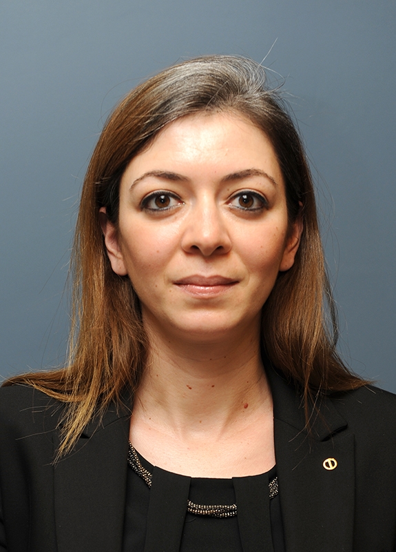 Olcay SEVİK Görsel